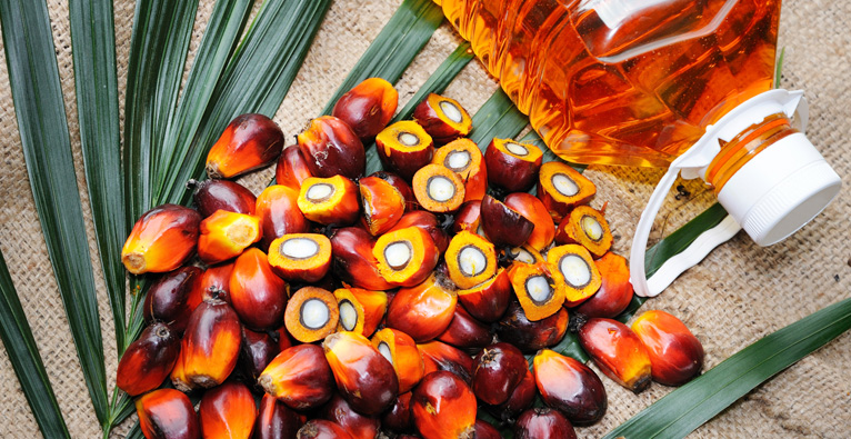 Profitable palm oil business