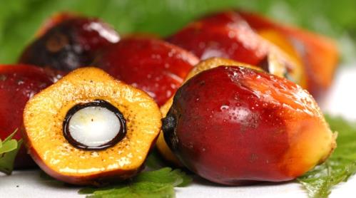 how to make good palm oil